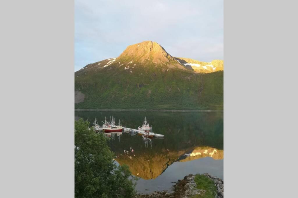 Waterfront Senja 3 Διαμέρισμα Torsken Εξωτερικό φωτογραφία