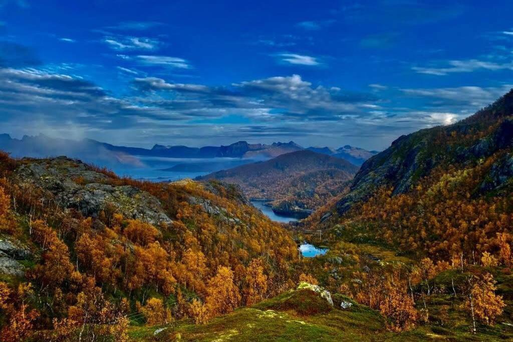 Waterfront Senja 3 Διαμέρισμα Torsken Εξωτερικό φωτογραφία