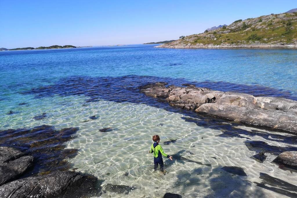 Waterfront Senja 3 Διαμέρισμα Torsken Εξωτερικό φωτογραφία
